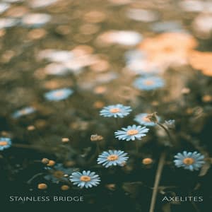 Stainless Bridge - Axelites