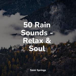 50 Rain Sounds - Relax & Soul - Soothing Nature Sounds