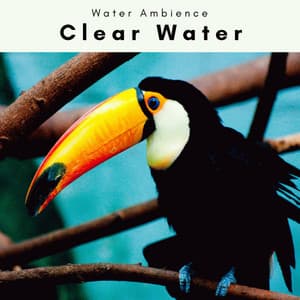 1 Clear Water - Water Ambience