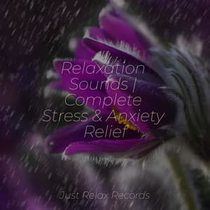 Relaxation Sounds | Complete Stress & Anxiety Relief - Sleepy Night Music