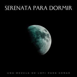 Serenata Para Dormir: Una Mezcla De Lofi Para Soñar - Lo-Fi para dormir
