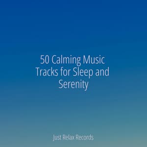 50 Calming Music Tracks for Sleep and Serenity - Mantra para Meditar