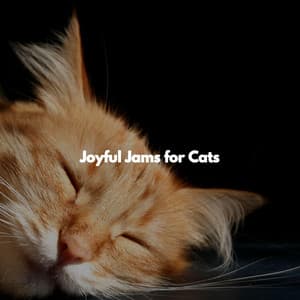 Joyful Jams for Cats - Weekend Jazz Chillout