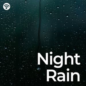 Night Rain - Falling Rain Sounds
