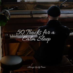 Quiet Listening Collection | Restful Piano Meditation - Piano Masters