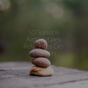 50 Sonidos Ambientales Relajantes Del Monzón - Piano Suave Relajante
