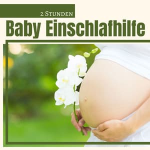 2 Stunden Baby Einschlafhilfe: die entspannendsten Geräusche für Babys im Mutterleib, weißes Rauschen, Regengeräusche, Klaviermusik - Entspannungsmusik Spa