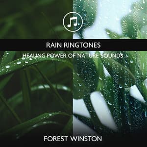 Rain Ringtones - Healing Power of Nature Sounds for Sleep and Relaxation, Rainy Music - Forest Winston