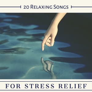 20 Relaxing Songs for Stress Relief - Endorphin Release Music - Mind Entrainment Doctor