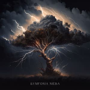 Symfonia nieba - Nagrania przyrodnicze