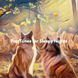 Pup Tunes for Sleepy Nights - New York Luxury Playlist