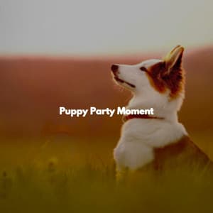 Puppy Party Moment - Bossa Nova for Driving