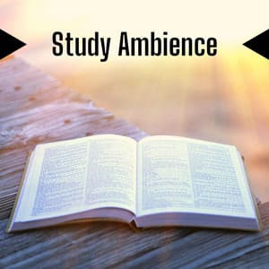 Study Ambience: Relaxing Library Sounds for Deep Concentration & Focus - Quiet Music Academy