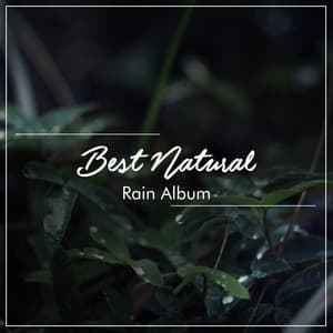 11 Rain Sounds to Induce Deep and Relaxation - Natural Rain Sounds for Sleeping