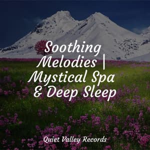 Soothing Melodies | Mystical Spa & Deep Sleep - Tonal Meditation Collective