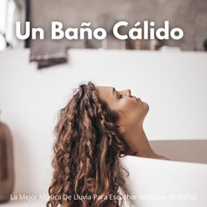 Un Baño Cálido: La Mejor Música De Lluvia Para Escuchar Mientras Te Bañas - Lluvia en el Bosque