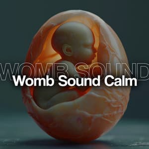 Womb Sound Calm - Womb Sound