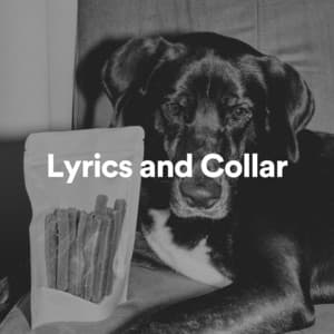 Lyrics and Collar - Music for Calming Dogs