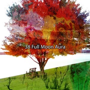 38 Full Moon Aura - Meditation Focus