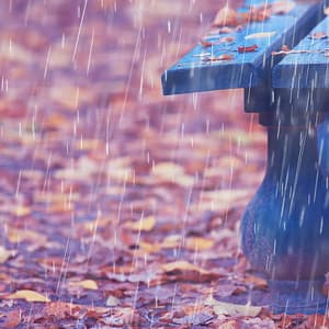 Theta Waves, Rain Serenity Escape - Enjoyable Rain Sleep Sound