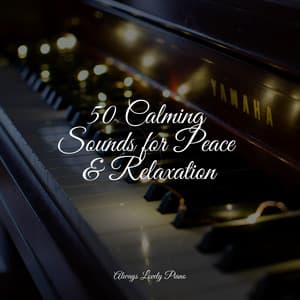 Chillout Night Sounds - Piano Music