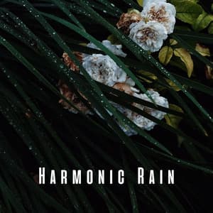 Harmonic Rain: Massage Enchantment with Crystal Singing Bowl - Rain Atmospheres