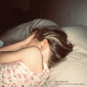 A Dream is a Wish Your Heart Makes - Mikkel Mark