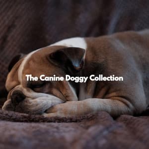 The Canine Doggy Collection - Musica para Perros