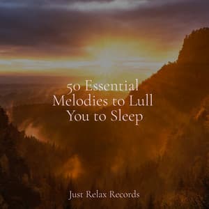 50 Essential Melodies to Lull You to Sleep - Musica Reiki