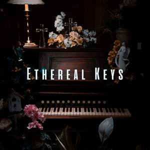 Ethereal Keys: Meditative Piano for a Relaxing Escape - Meditation Muse