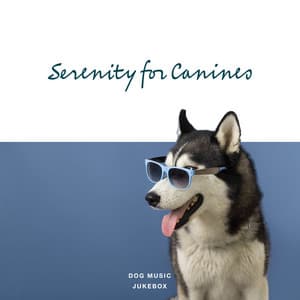 Serenity for Canines - Dog Music Jukebox