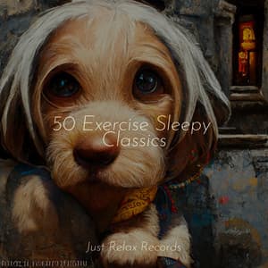50 Exercise Sleepy Classics - Soothing Sounds
