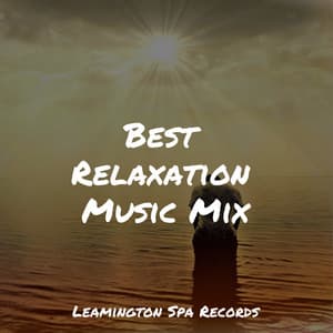 Best Relaxation Music Mix - Nature Sounds Collection