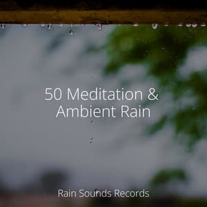 50 Meditation & Ambient Rain - Meeresrauschen