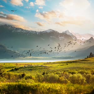 Paz Interior: Armonías Para La Meditación - Almas gentiles