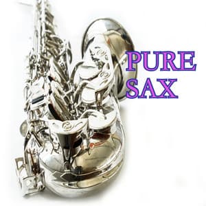 Pure Sax - Uplifting Orchestra