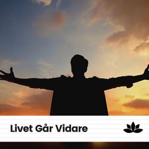 Livet Går Vidare - Avslappnande Meditation Akademi