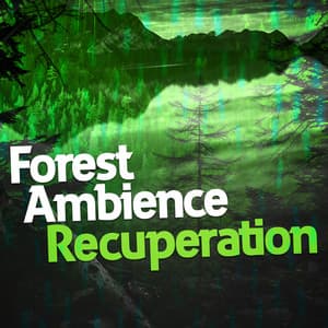 Forest Ambience Recuperation - Forest Sounds Relaxing Spa Music Singing Birds