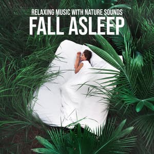 Relaxing Music with Nature Sounds: Fall Asleep, Night Relief for Body and Mind - Relaxing Nature Sounds Collection