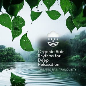 Organic Rain Rhythms for Deep Relaxation - Organic Rain Tranquility