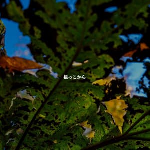 根っこから - Hotel Jazz Music