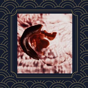 Serene Ambiance for Success - Summer Bossa Nova Club