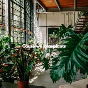 Cause we love plants - Soft Dinner Music