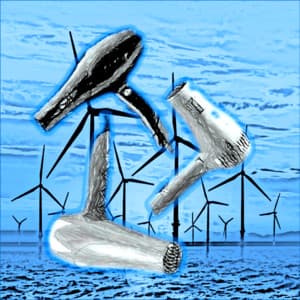 Hair Dryer Collection - Background Sound Effects Meditation Spa