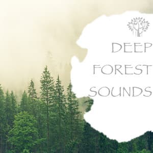 Deep Forest Sounds - Natural Spirit