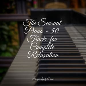 50 Soft Sounds - Exam Study Classical Music