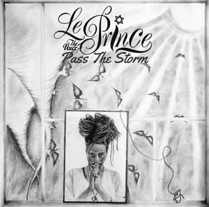 Pass The Storm - LePrince