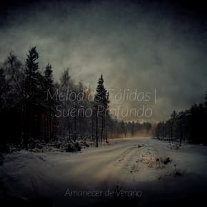 Melodías Cálidas | Sueño Profundo - El hada de las canciones de cuna