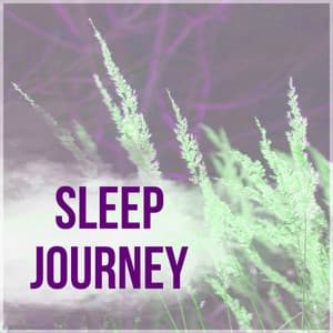 Sleep Journey - Sleep Meditation Music and Bedtime Songs to Help You Relax, Meditate, Rest, Destress - Better Sleep Oasis