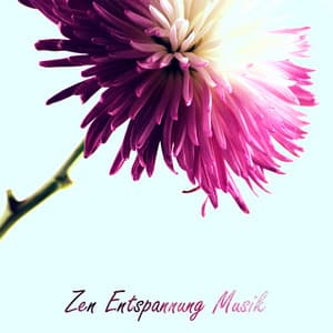 Zen Entspannung Musik - Körper Chakras, Mentale Konzentration, Kundalini und Drittes Auge, Meditationstechnik, Yoga Classes - Tiefenentspannung Academy